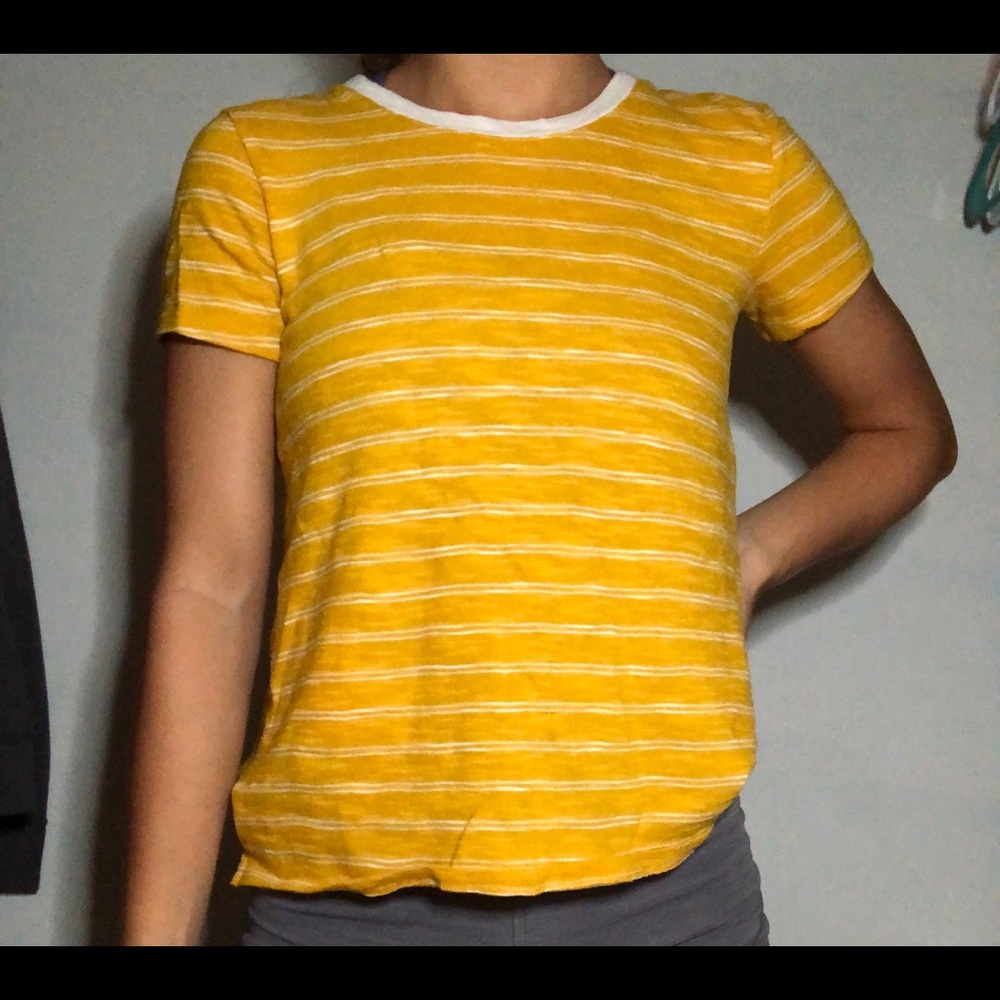Giant shirt bundle
